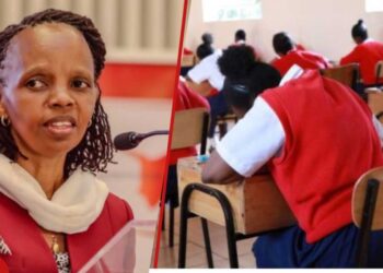 KUCCPS new placement system 2026