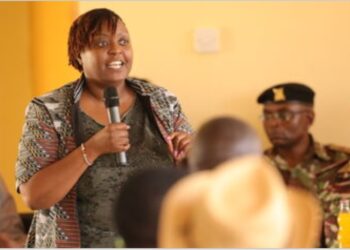 2029 CBC university transition