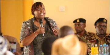 2029 CBC university transition