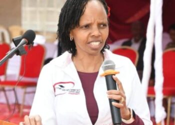 KUCCPS Courses for Students with Grade C, D and D- in 2025 KCSE