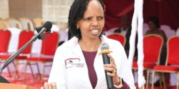 KUCCPS Courses for Students with Grade C, D and D- in 2025 KCSE