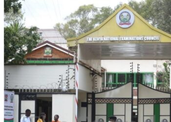 KNEC Opens Applications for 2026 KCSE and KJSEA Examiner Training