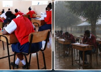 KCSE, KJSEA and KPSEA Exams To Be Postponed! Check out.