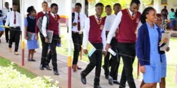 HELB Opens 2026/2027 Loan Applications for KMTC Certificate and Diploma Students